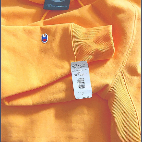 Champion Cropped Hoodie (size:S) - Picture 3 of 4